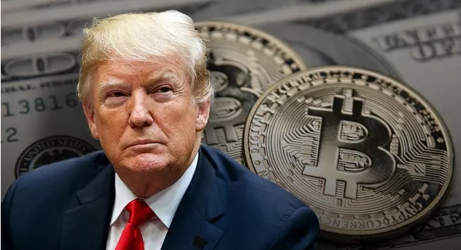 特朗普持有超5000万美元比特币,披露文件揭示其加密税务处理