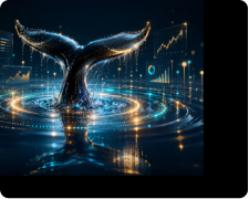Flare Co-founder: DeFi Will Replace Traditional Finance as Smart Accounts Drive 31% FXRP Growth