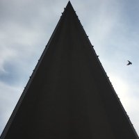 前以太坊基金会成员称以太坊核心开发在3至9个月内面临资金危机