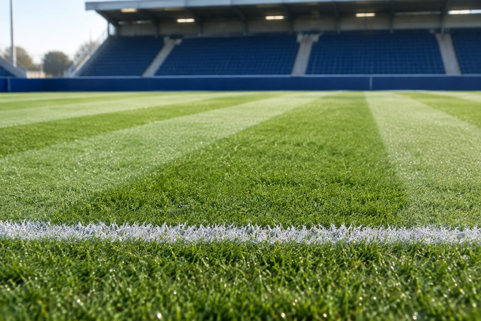 Do Premier League pitches use real grass?