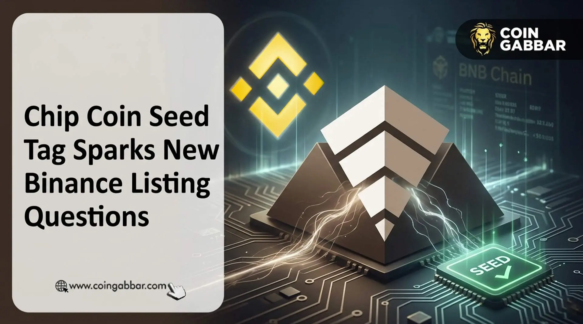 Binance上线Chip Coin即贴Seed Tag,高风险警示与4000万奖励并行