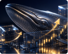 HSBC Hong Kong and Anchorpoint Win First HKMA Stablecoin Licences