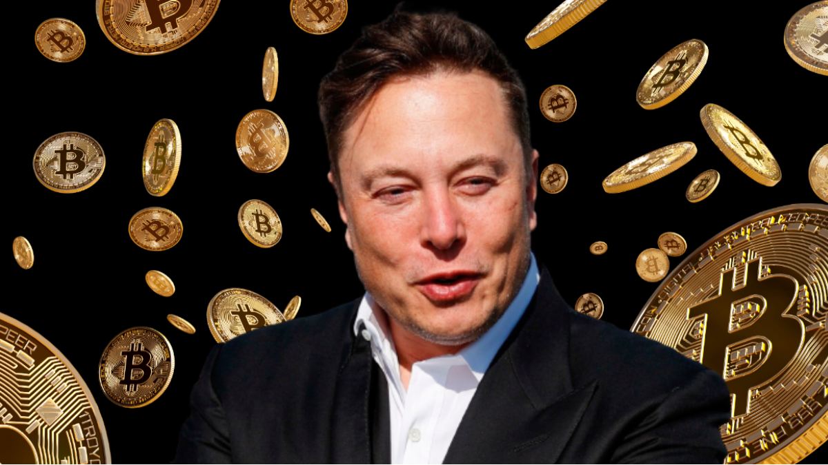 SpaceX二季度营收超预期,所持比特币录得5.4亿美元账面亏损