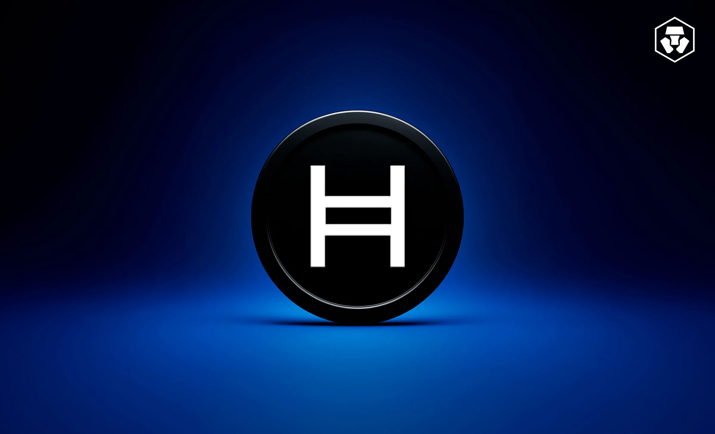 Hedera (HBAR) 购买全攻略:美国用户零基础入门与投资分析