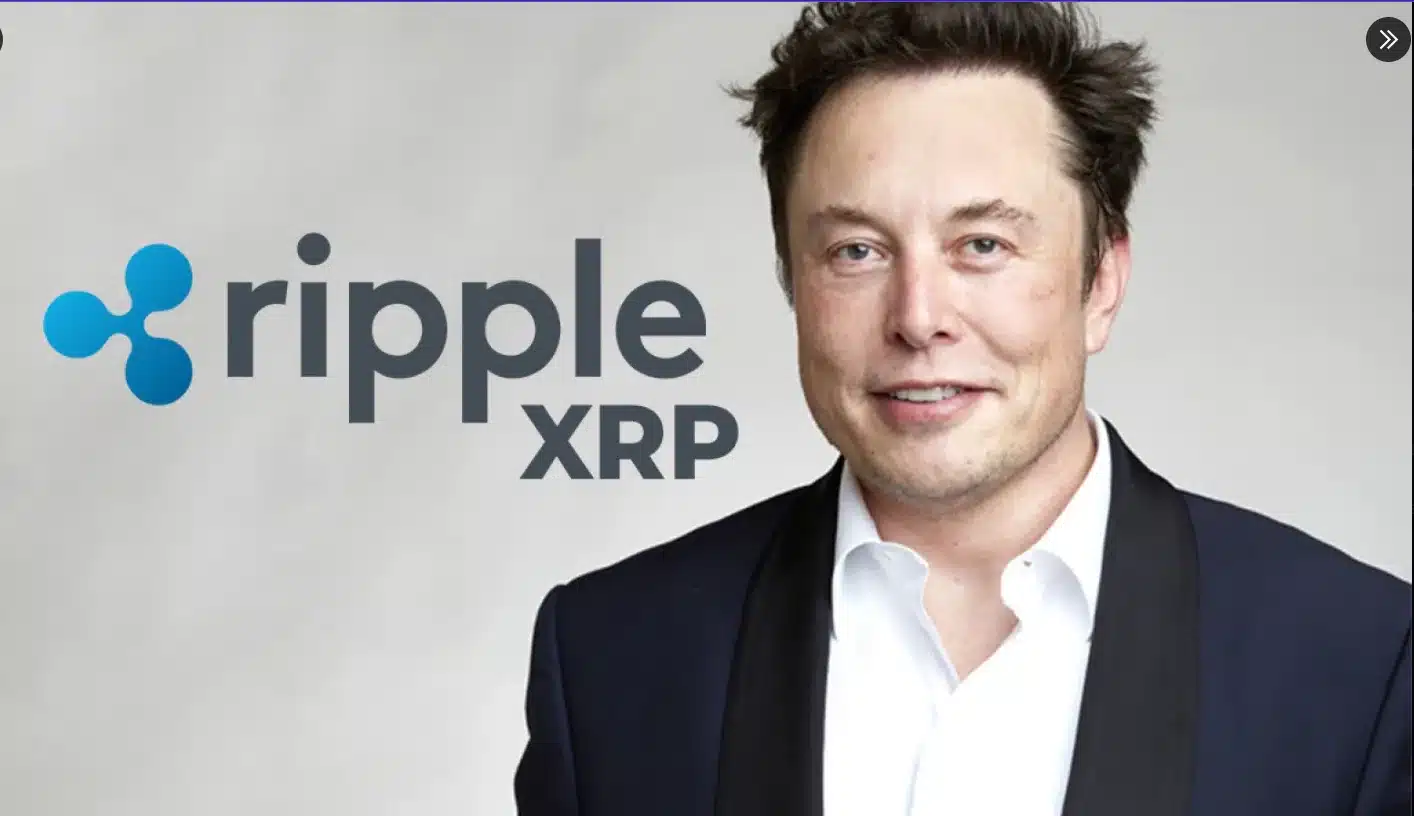马斯克X Money App Beta与瑞波XRP挂钩?Cross River Bank早年整合引发热议