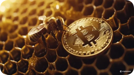 What Is a Honeypot Crypto Scam?