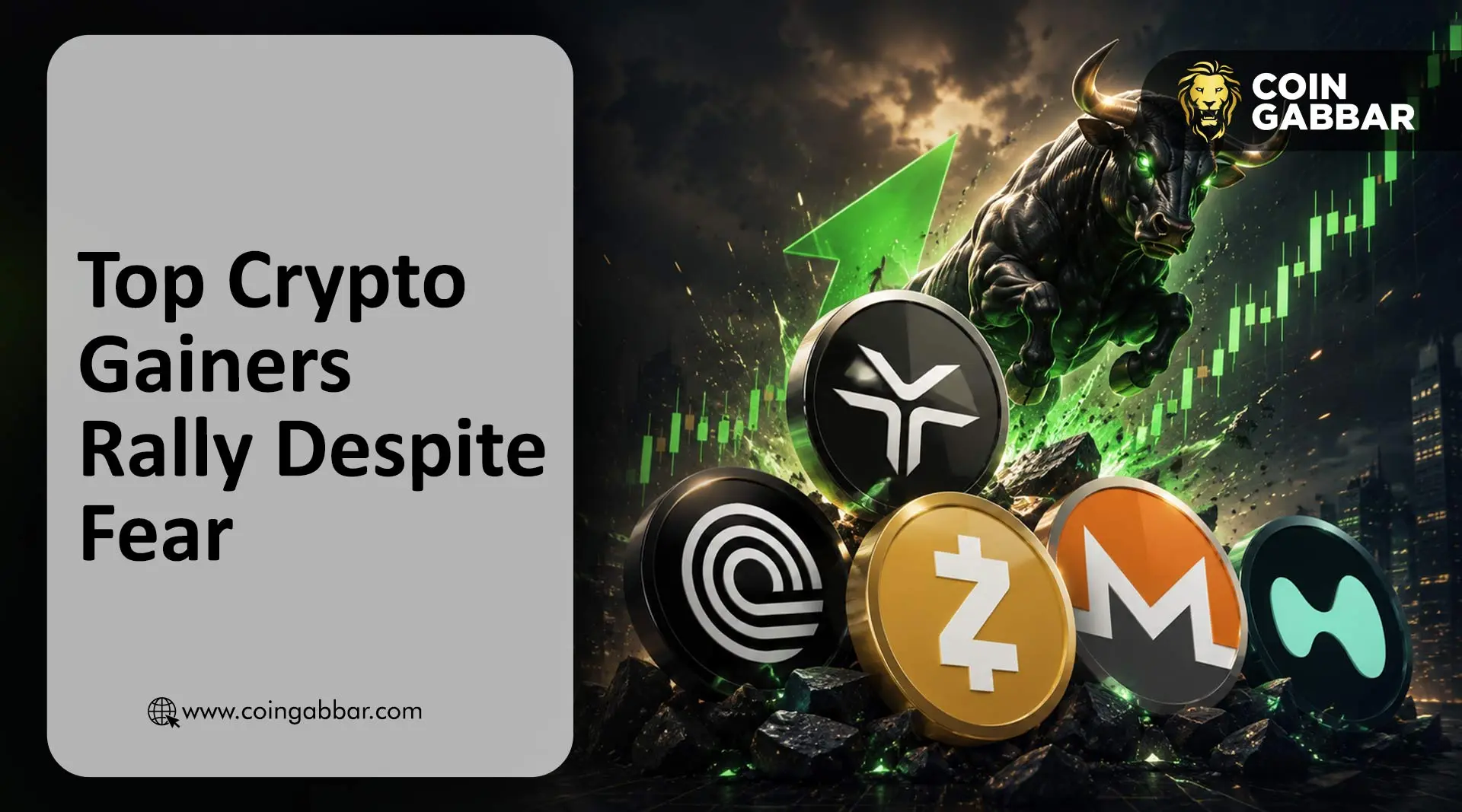 DEXE飙升24%领涨,ONDO/ZEC/XMR/HYPE逆势突围——五大致密原因解析