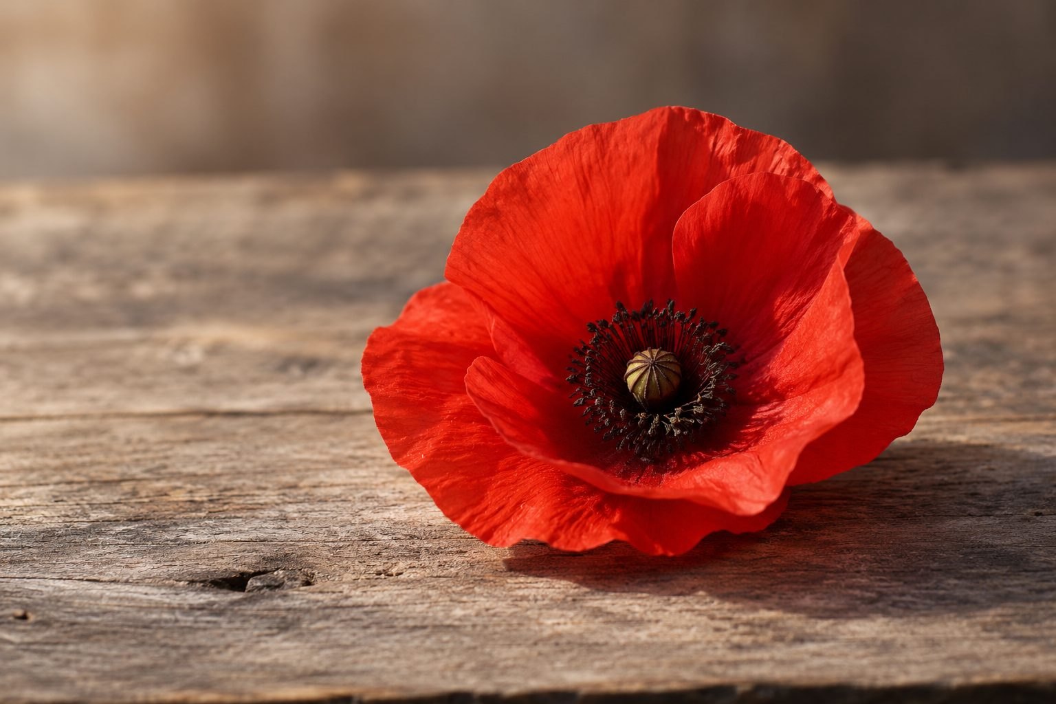 Why do Premier League players wear poppies?