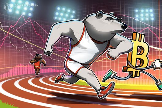 比特币触及200周趋势线,RSI跌至六年低点