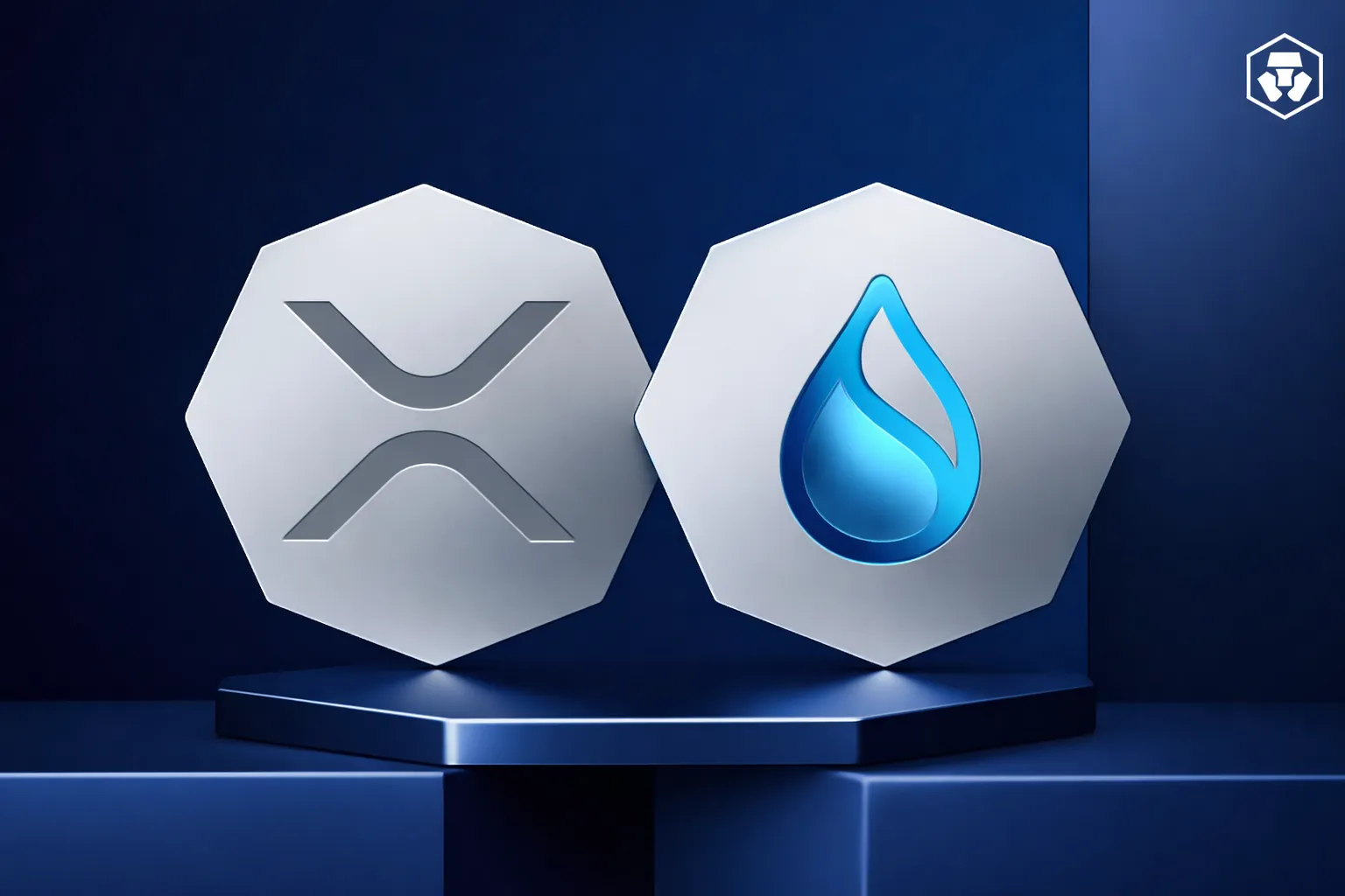 XRP 与 Sui 对比:从支付老兵到下一代 DApp 链,一文读懂两者差异